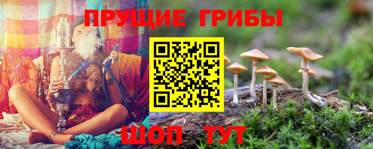 Галлюциногенные грибы MAGIC MUSHROOMS  Псилоцибиновые грибы прущие грибы  Вход с VPN  Альметьевск 
